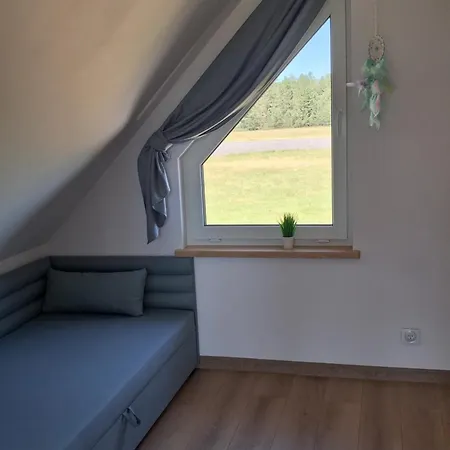 Letniskowy Caloroczny Z Balia Ogrodowa Borsk